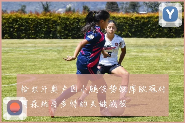 恰尔汗奥卢因小腿伤势缺席欧冠对阿森纳与多特的关键战役
